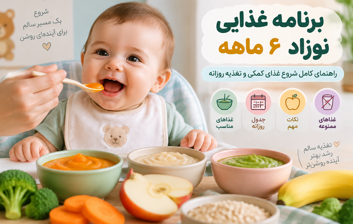 برنامه غذایی نوزاد ۶ ماهه؛ راهنمای کامل شروع غذای کمکی و تغذیه روزانه