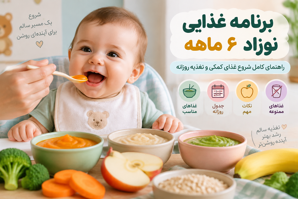 برنامه غذایی نوزاد ۶ ماهه؛ راهنمای کامل شروع غذای کمکی و تغذیه روزانه